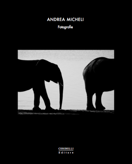 Pubblicazioni Andrea Micheli